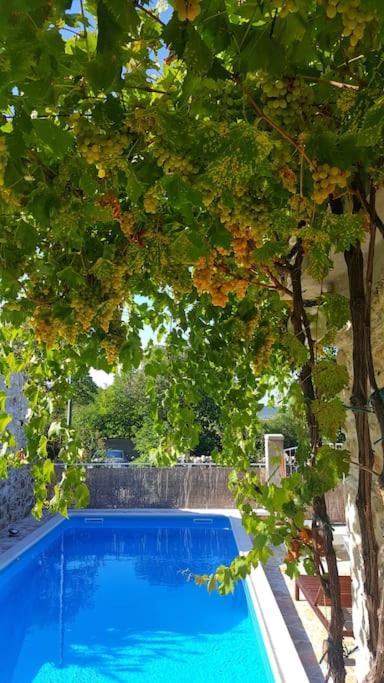 Stone House Kula Milica Villa Mala Cista ภายนอก รูปภาพ
